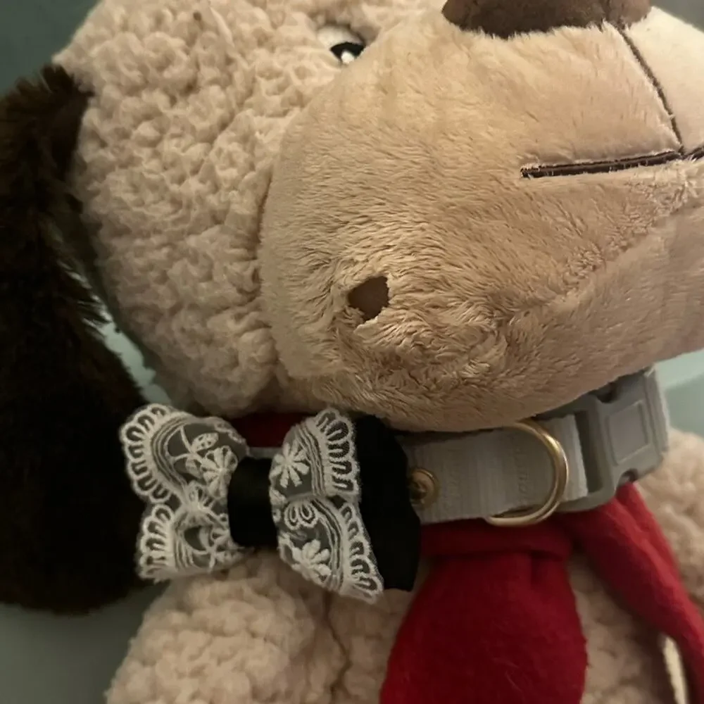 Light Grey with black trim dog collar - Lace bow - Size Medium
